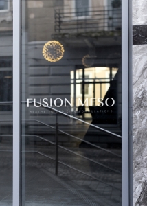 FUSION MESO logotipas - lipdukas, 1vnt.