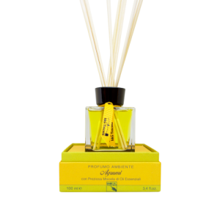 ROOM DIFFUSER CITRUS FRUITS/ Prabangaus eterinių aliejų mišinio namų kvapas „Citrus Fruits“, 100 ml (be medinių lazdelių)
