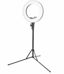 Žiedo formos lempa RING RING LAMP LIGHT 18 + 48 W LED